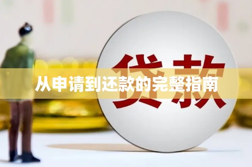 大城从申请到还款的完整指南