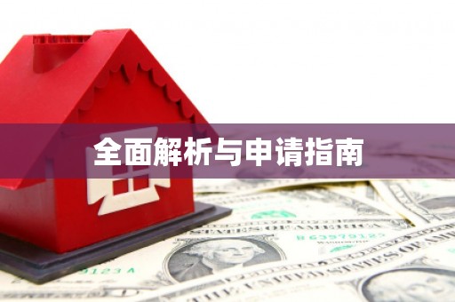 大城全面解析与申请指南