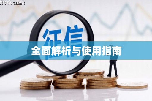 大城全面解析与使用指南