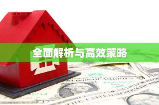 大城全面解析与高效策略