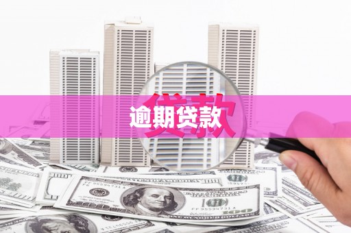 大城逾期贷款