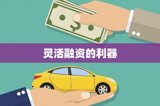 大城灵活融资的利器