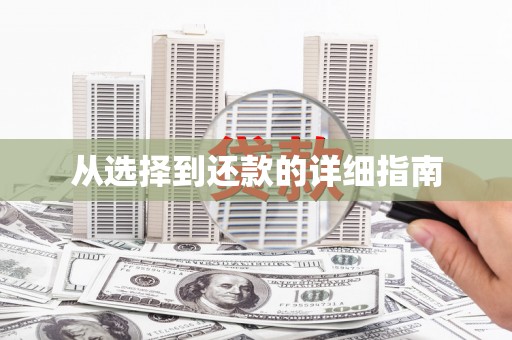 大城从选择到还款的详细指南