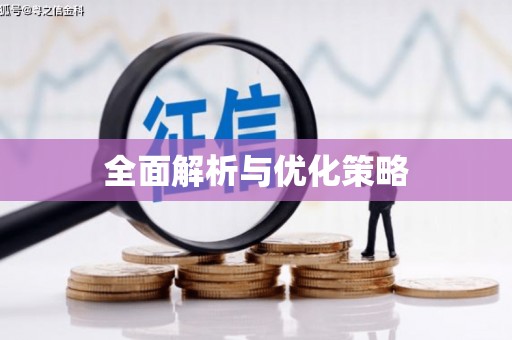 大城全面解析与优化策略