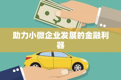 大城助力小微企业发展的金融利器