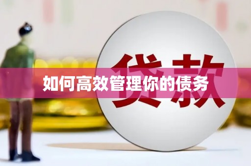 大城如何高效管理你的债务