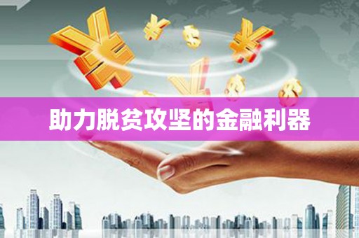 大城助力脱贫攻坚的金融利器