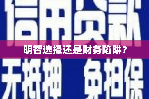 大城明智选择还是财务陷阱？