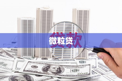 大城微粒贷