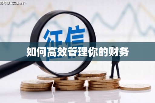 大城如何高效管理你的财务