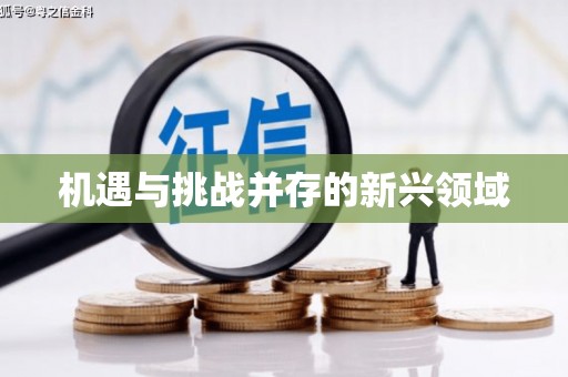 大城机遇与挑战并存的新兴领域