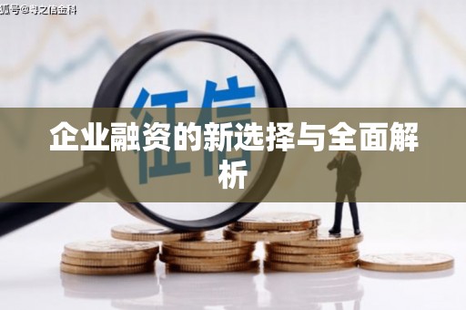 大城企业融资的新选择与全面解析
