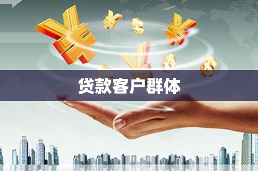 大城贷款客户群体