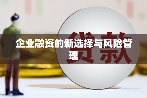 大城企业融资的新选择与风险管理