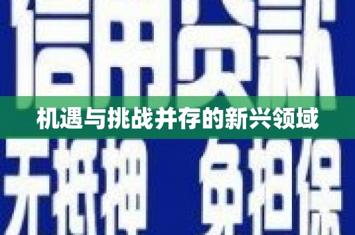 大城机遇与挑战并存的新兴领域