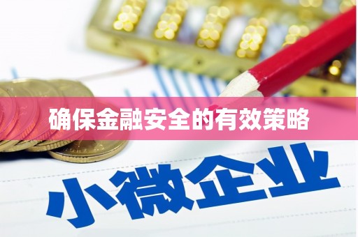 大城确保金融安全的有效策略