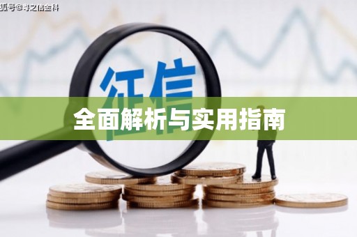大城全面解析与实用指南