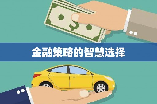 大城金融策略的智慧选择