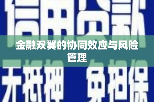 大城金融双翼的协同效应与风险管理