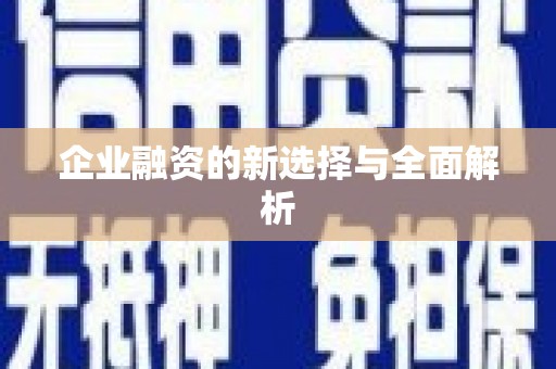 大城企业融资的新选择与全面解析
