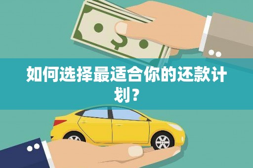 大城如何选择最适合你的还款计划？