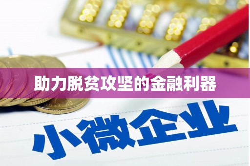 大城助力脱贫攻坚的金融利器