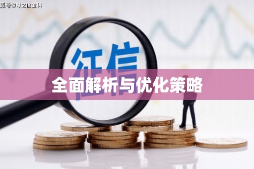 大城全面解析与优化策略