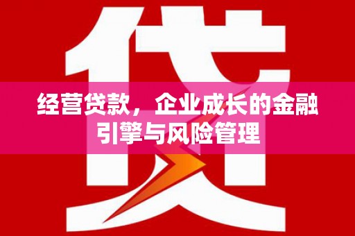 大城经营贷款，企业成长的金融引擎与风险管理