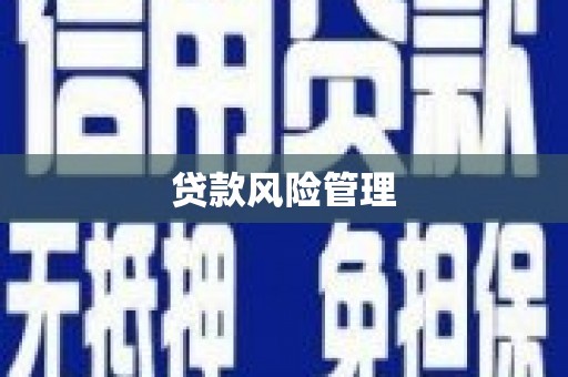 大城贷款风险管理