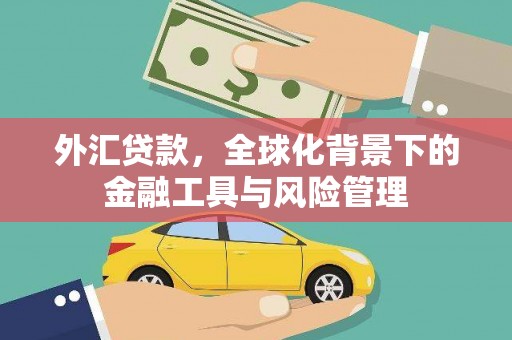 大城外汇贷款，全球化背景下的金融工具与风险管理