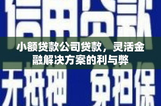 大城小额贷款公司贷款，灵活金融解决方案的利与弊
