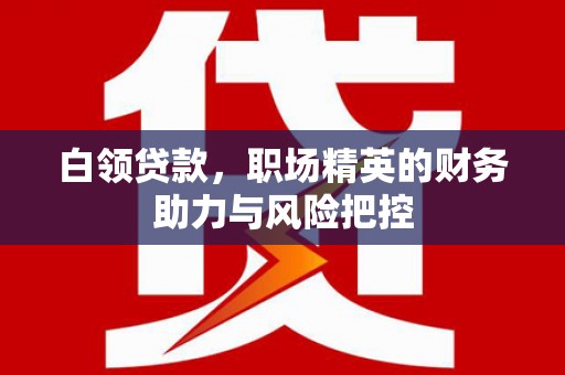 大城白领贷款，职场精英的财务助力与风险把控