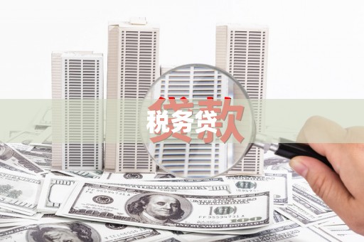 大城税务贷