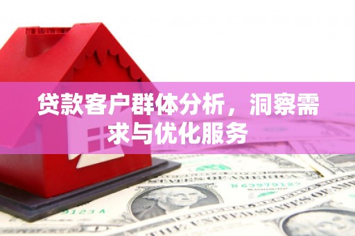 大城贷款客户群体分析，洞察需求与优化服务